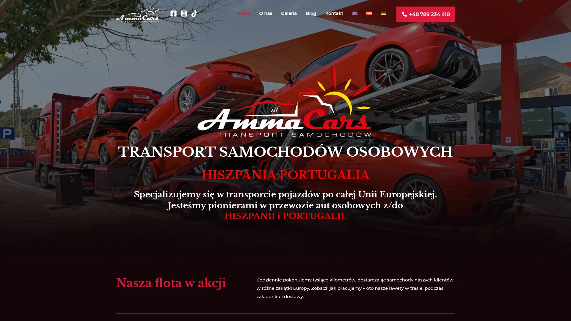Screenshot of ammacars.pl