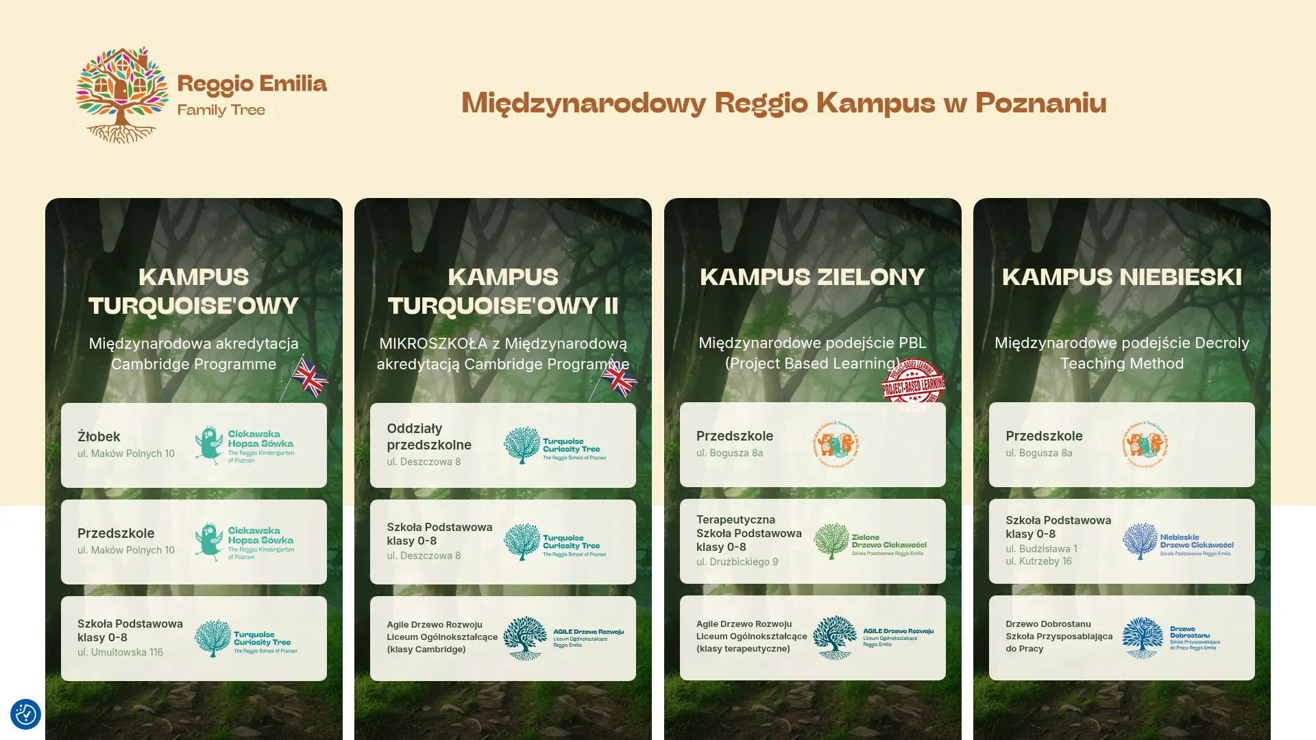 Screenshot of reggioemiliapoznan.pl