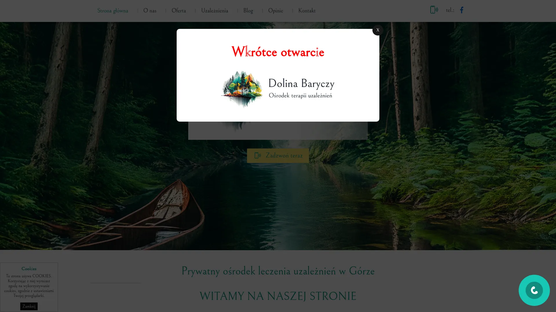 Screenshot of www.terapia-dolina-baryczy.pl