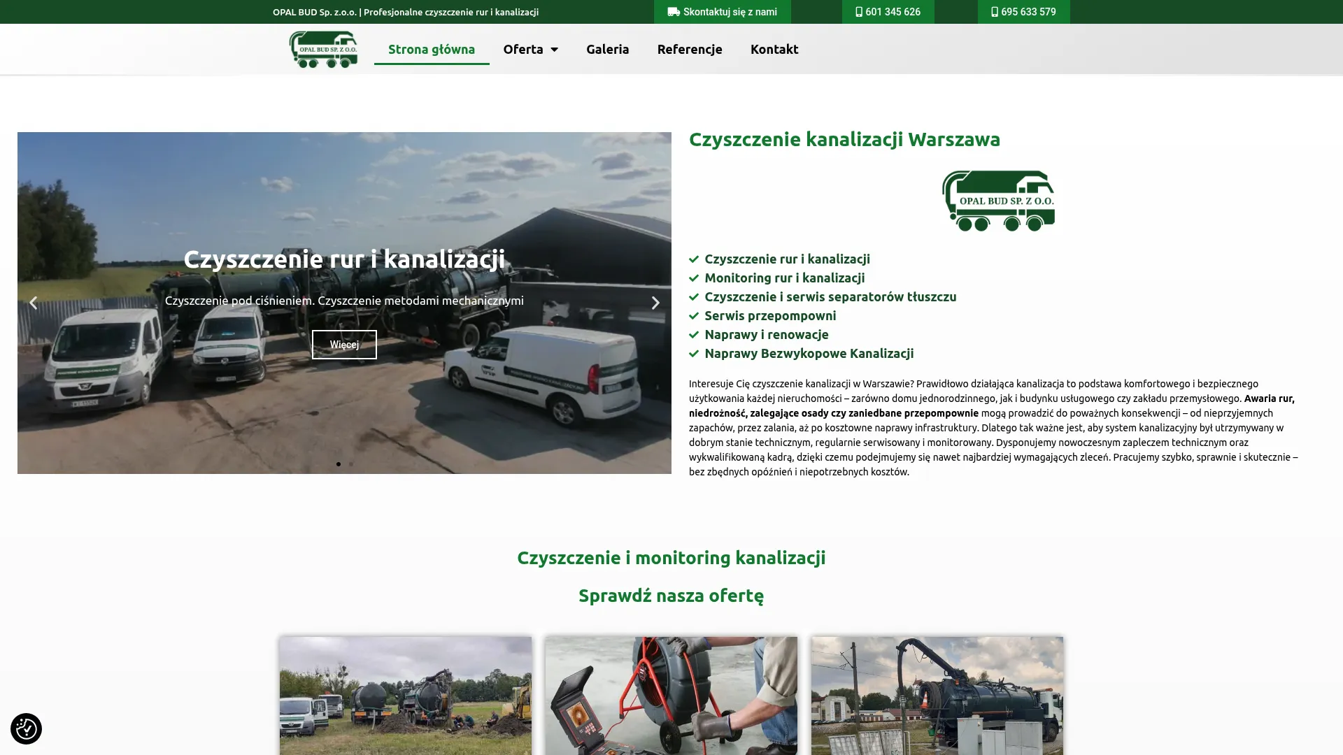 Screenshot of opalbud.pl