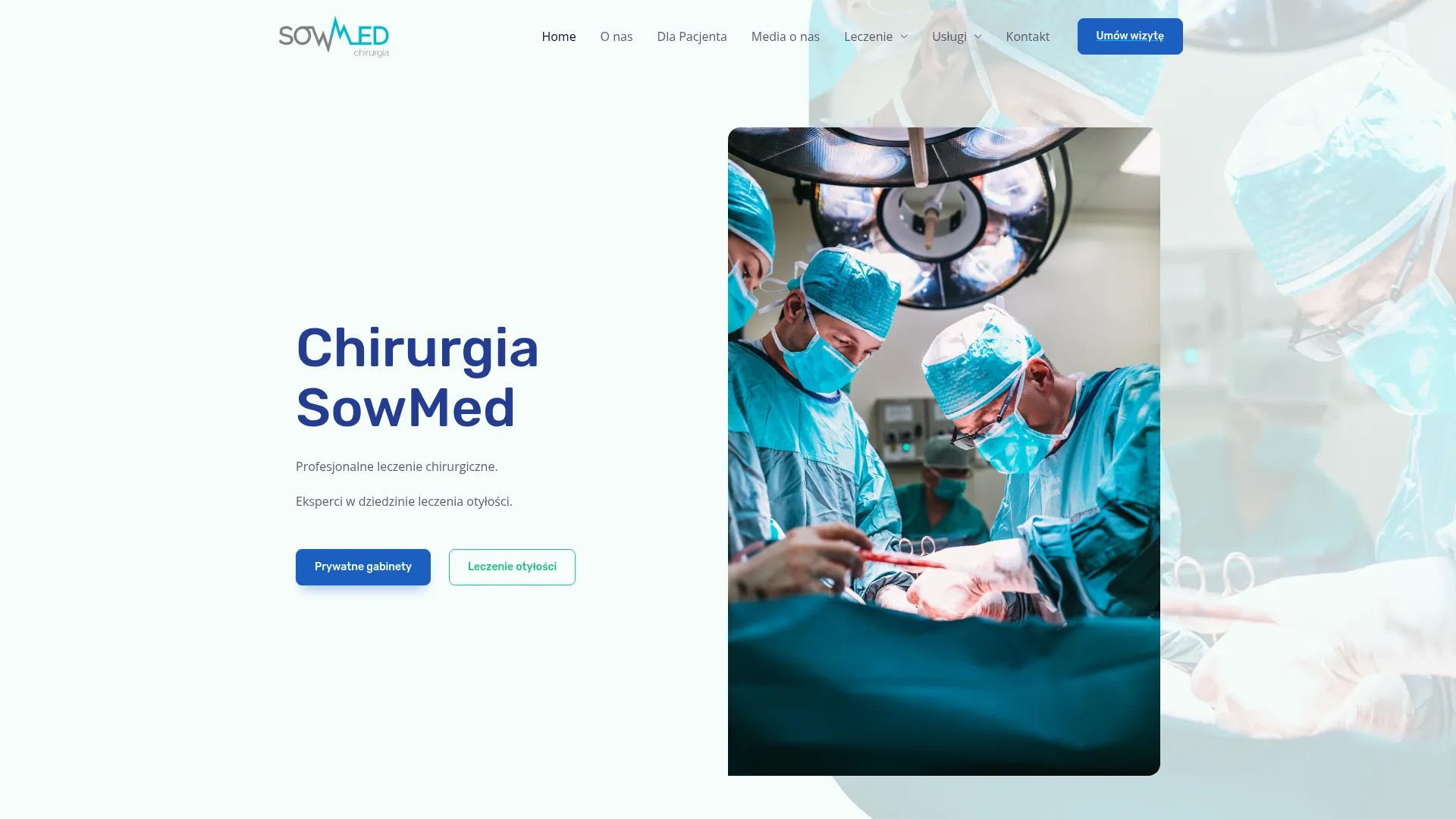 Screenshot of www.chirurgiasowmed.pl